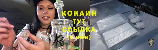 трава Аркадак