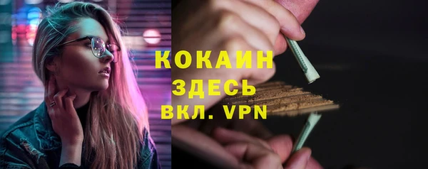 стафф Алзамай