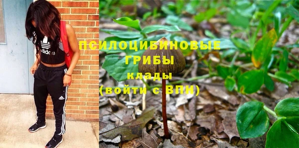прущий лед Арсеньев