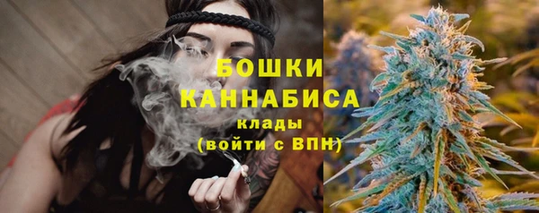 трава Аркадак