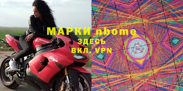 стаф Алексин