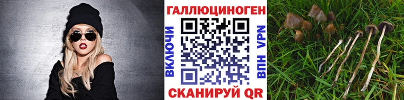 Галлюциногенные грибы мухоморы  наркошоп  блэк спрут рабочий сайт  Зверево 